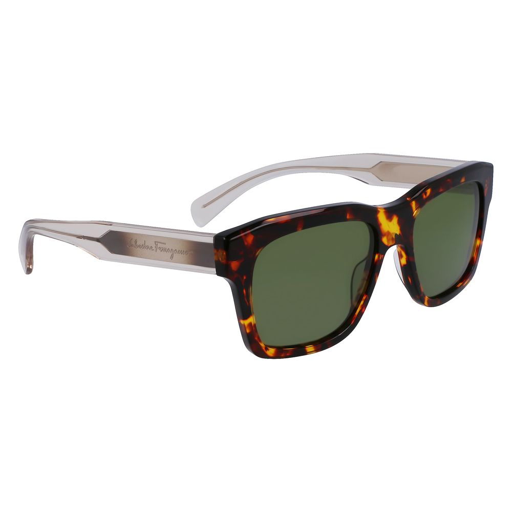 Ferragamo Brown Acetate Sunglasses