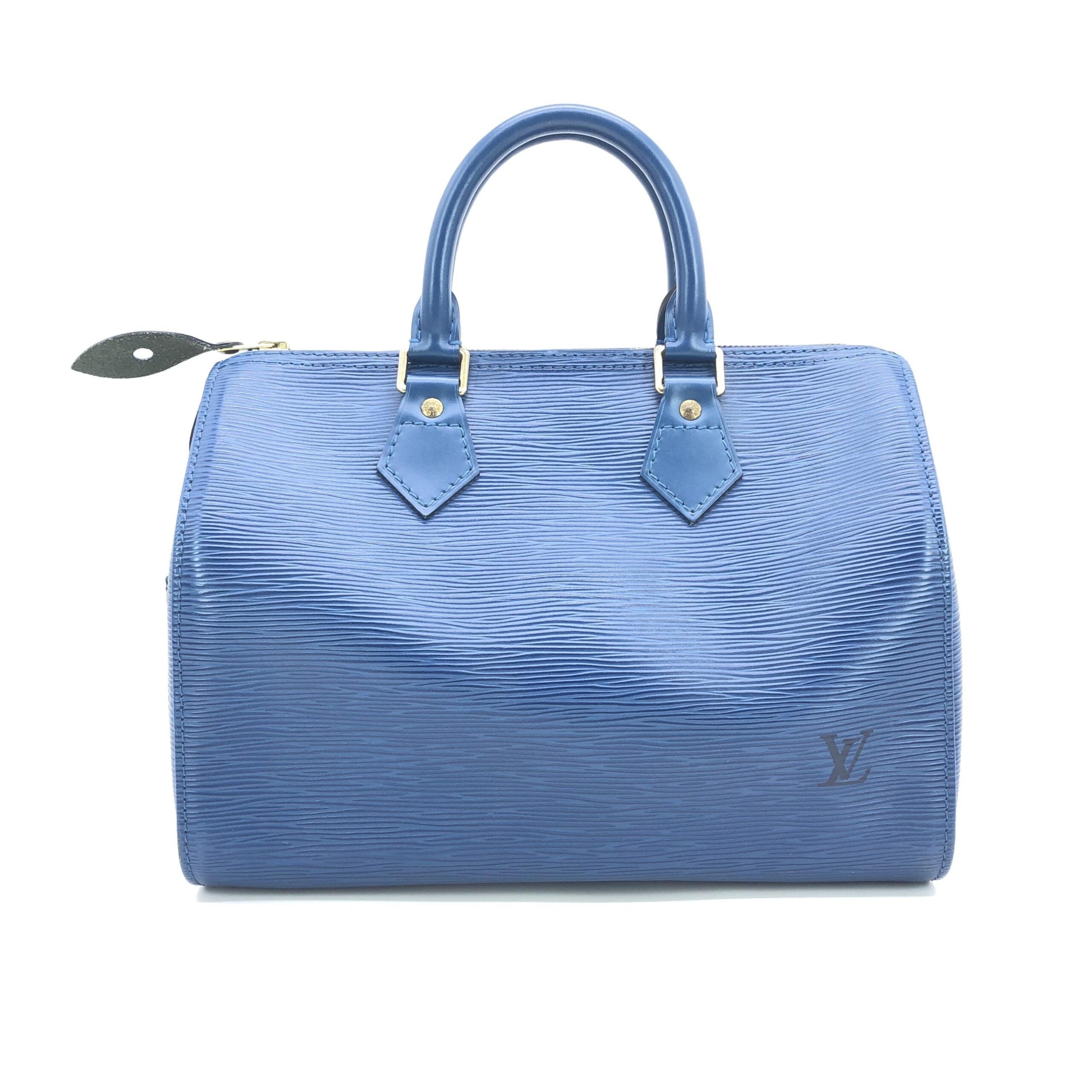 Louis Vuitton Speedy 25 Handbag