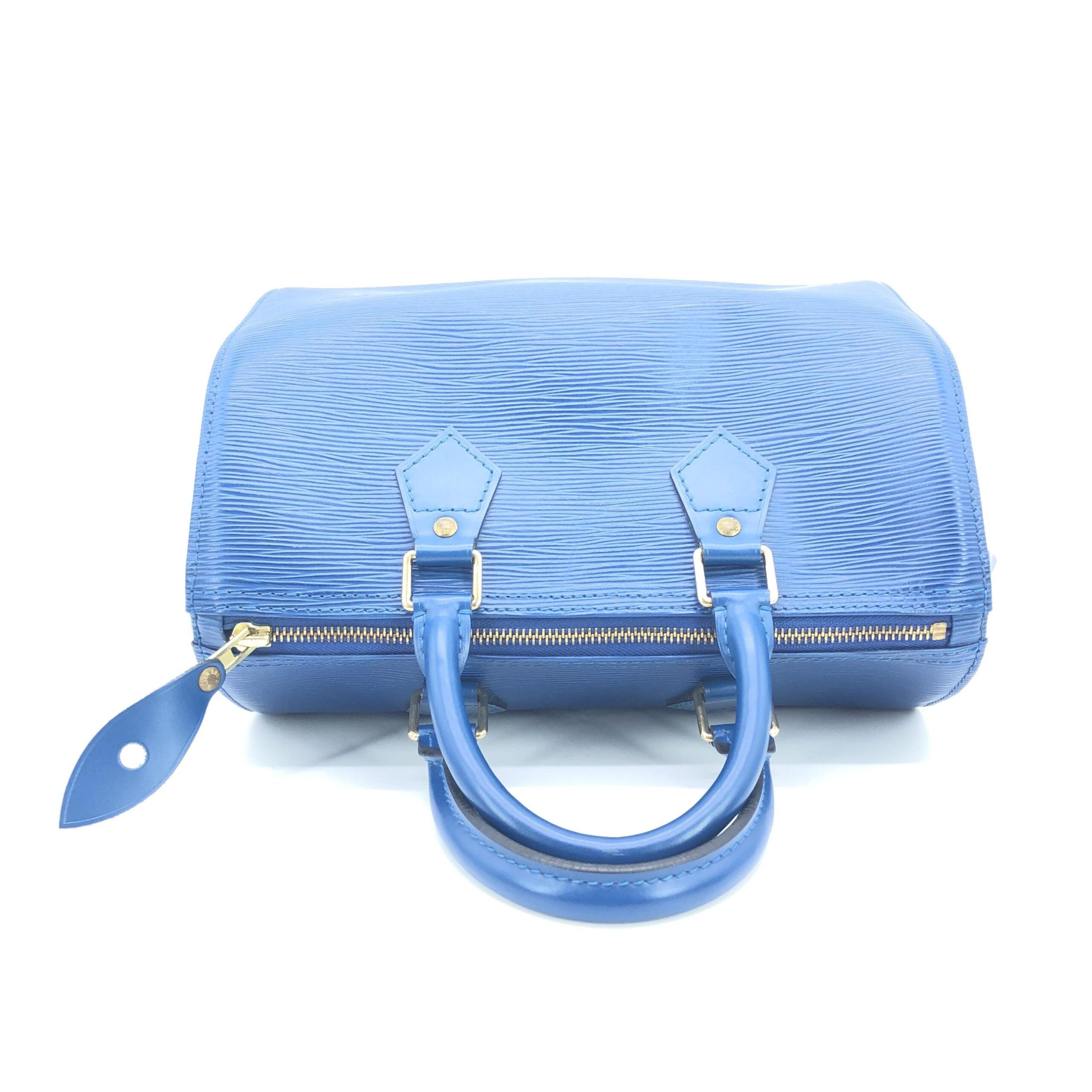 Louis Vuitton Speedy 25 Handbag