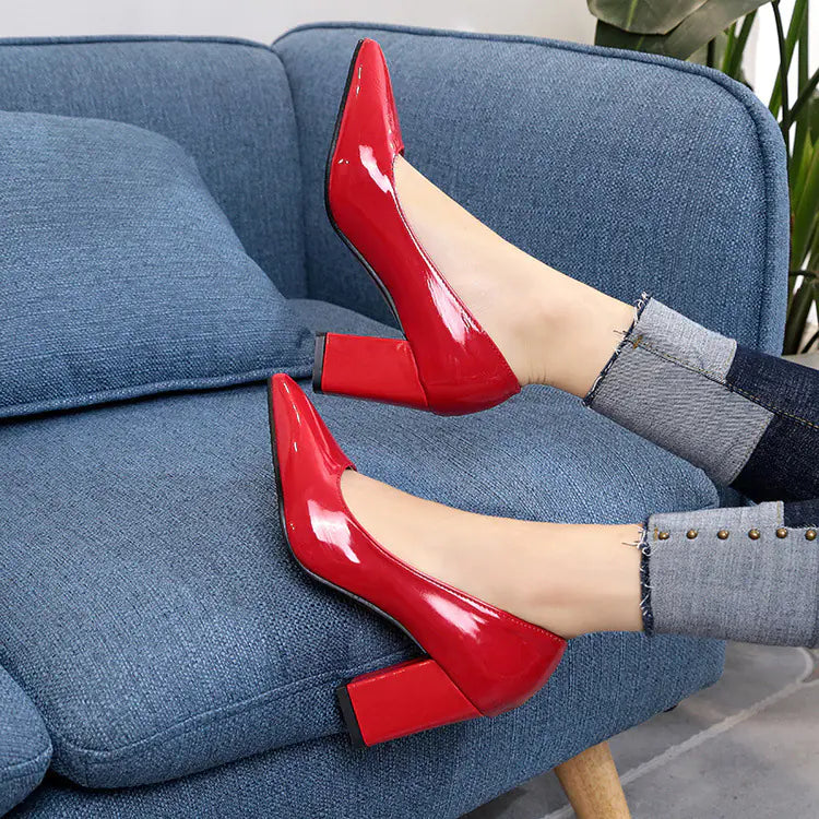 Pointed Toe Chunky Heel Pumps