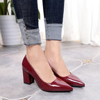 Pointed Toe Chunky Heel Pumps
