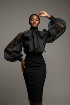 Fashion Sheer Bow Tie Puff Sleeve Shirt for Women